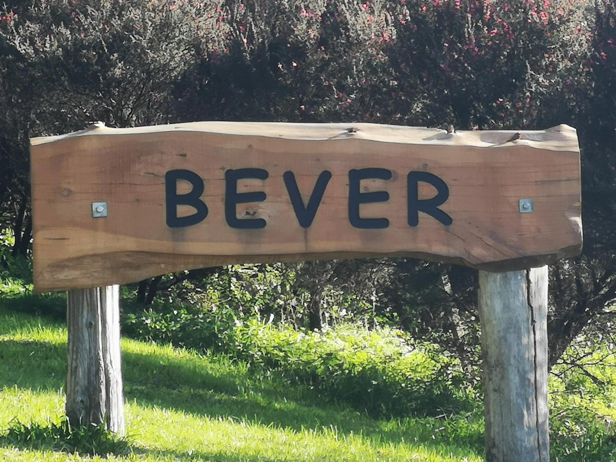 Bever Farm Waitoki Exterior foto